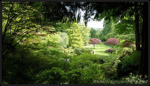 _MG_4990