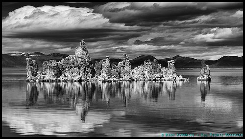 _DSC4327
