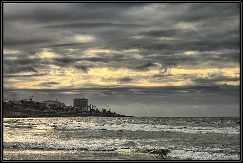 _MG_9502