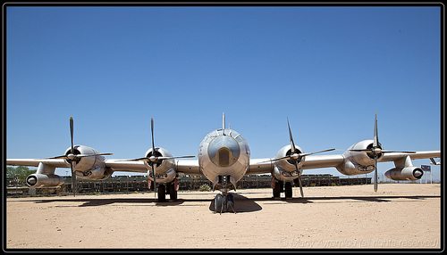 _MG_9179