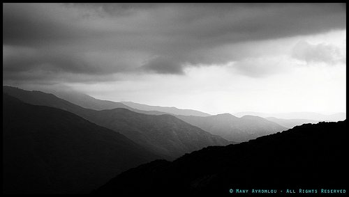 _DSC4592