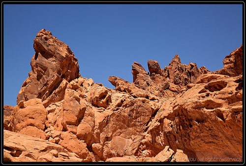 _MG_7801
