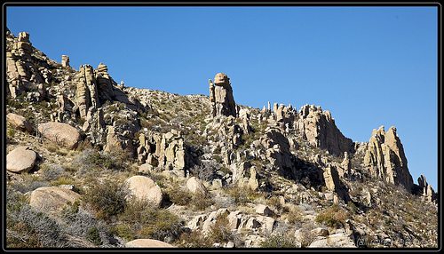 _MG_8930