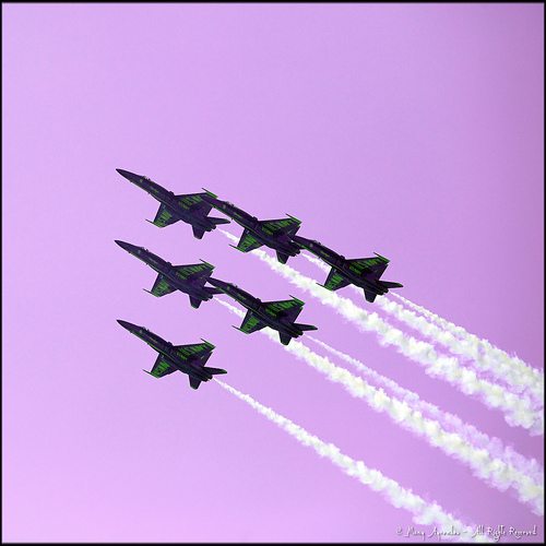 _MG_0344