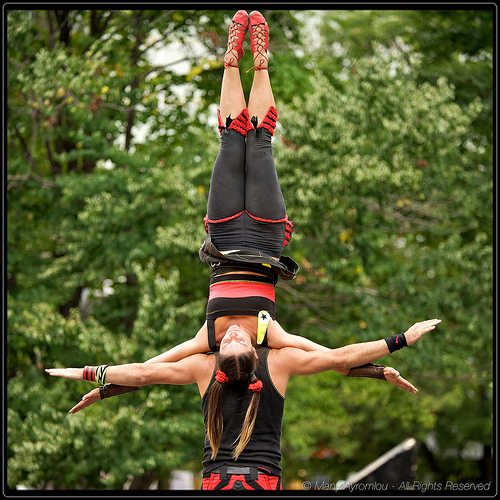 _MG_3462