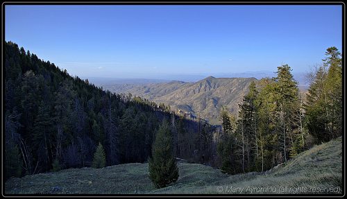 _MG_8939-41