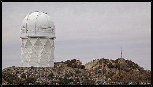 _MG_9481