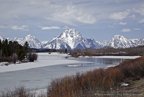 _MG_1567