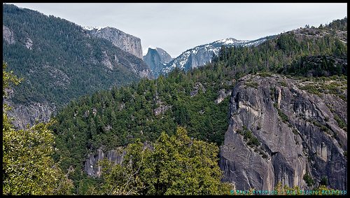 _DSC4385