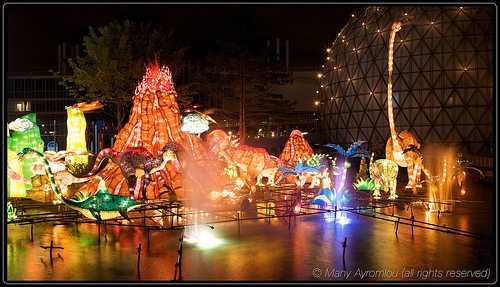 _MG_6864
