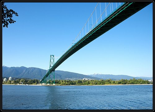 _MG_4427