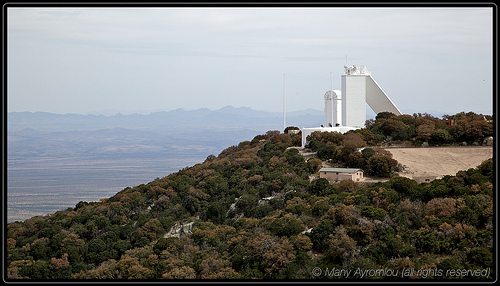 _MG_9559