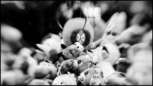 _MG_4055