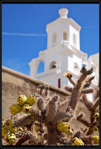 _MG_8024