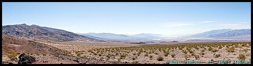 _DSC4626