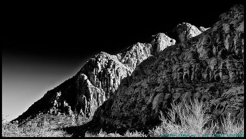 _DSC4148