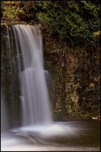 _MG_4658