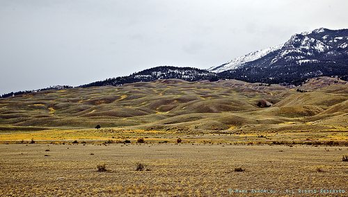 _MG_0922