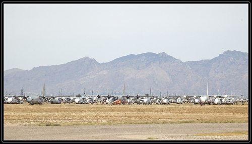 _MG_9469