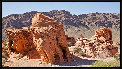 _MG_7663
