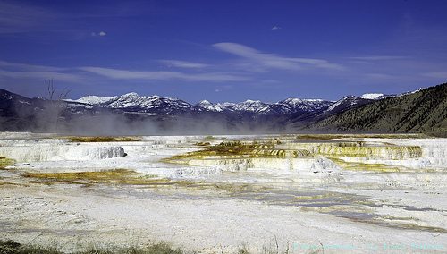 _MG_0726