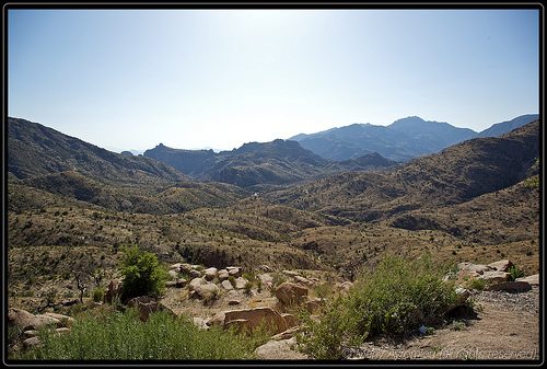 _MG_8926
