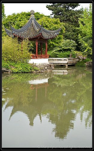 _MG_4650
