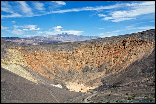 _DSC4781