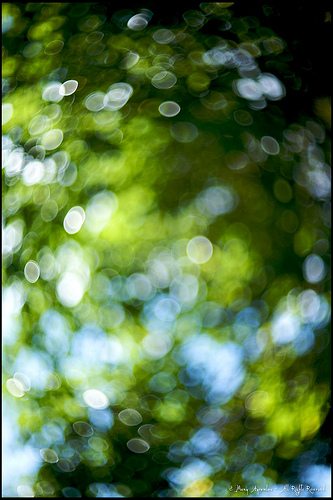 _MG_4481