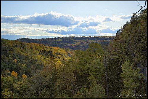 _MG_4773-75