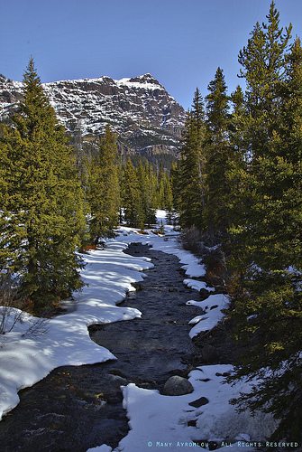 _MG_0862-64