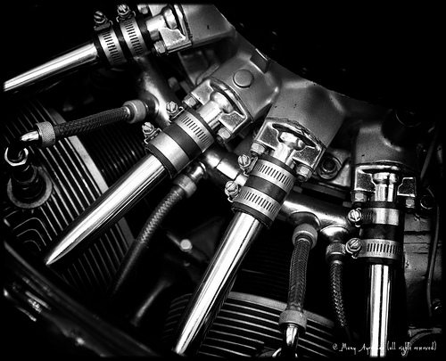 _MG_2074 - Version 2