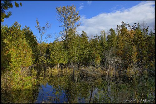 _MG_4708-10