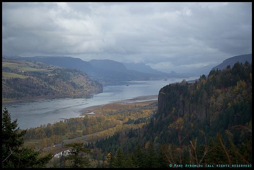 _MG_6337