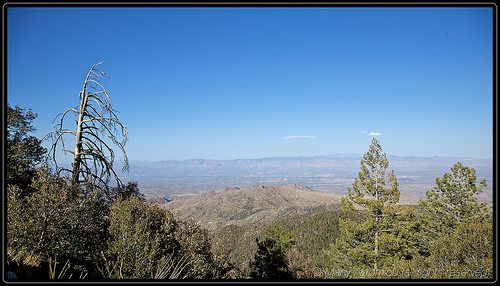 _MG_8932