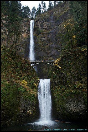 _MG_6557