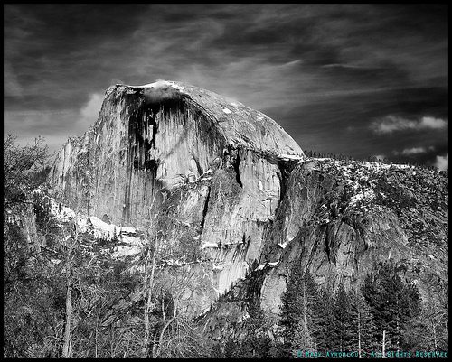 _DSC4453