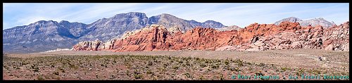 _DSC4088