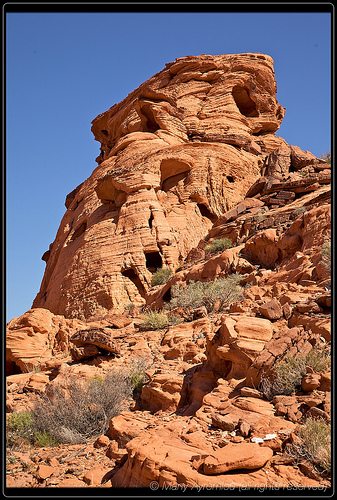 _MG_7718