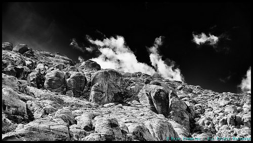 _DSC4049