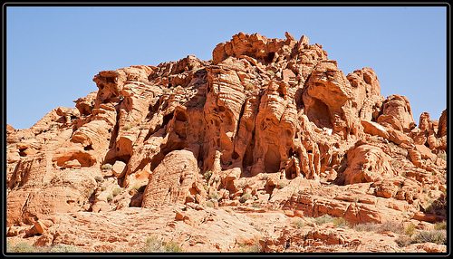 _MG_7713