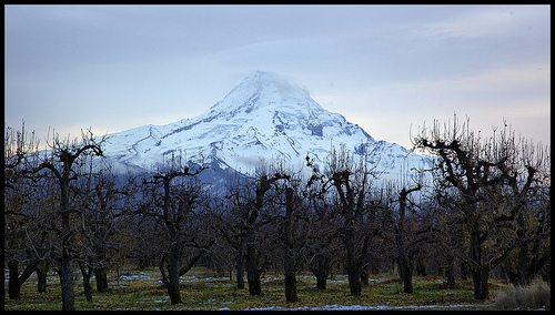 _MG_6601-03