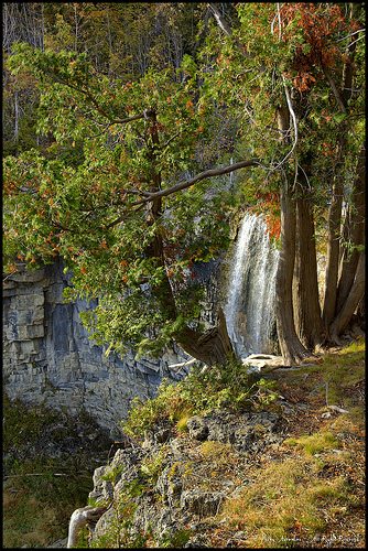 _MG_4787-89
